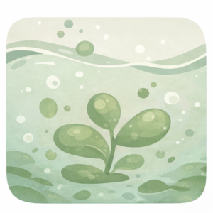 03_Algae