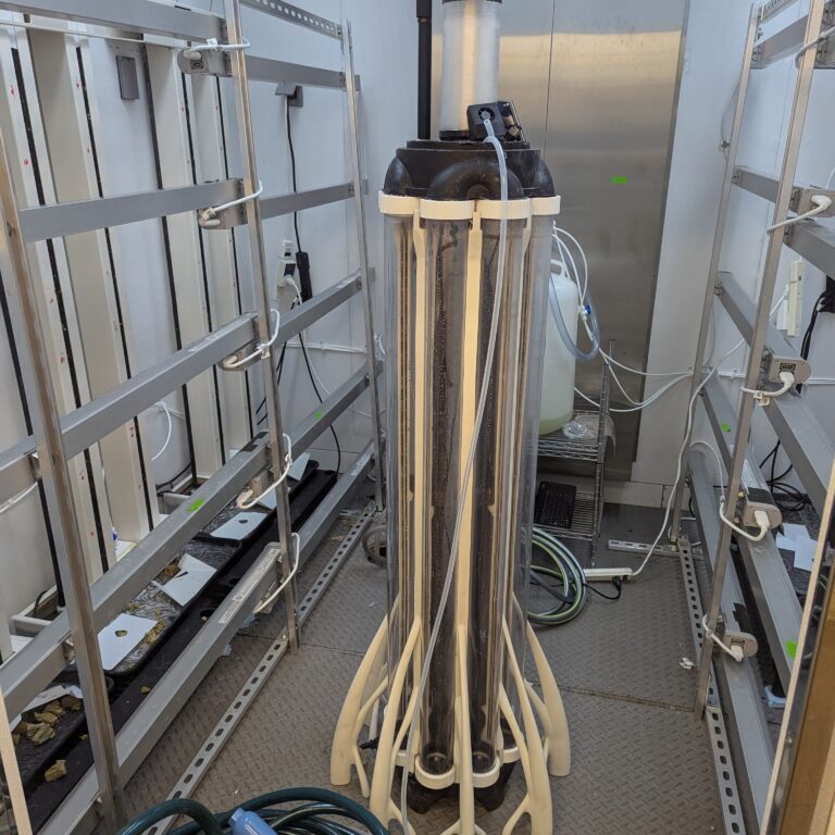 Albero in Testing Chamber