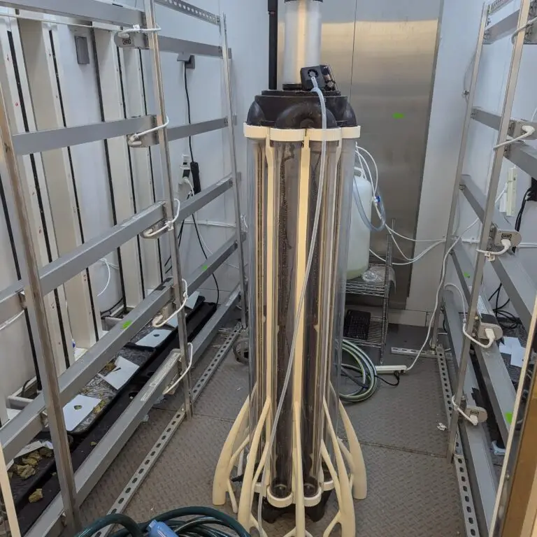 Albero in Testing Chamber