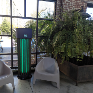 Albero Traditional Gym