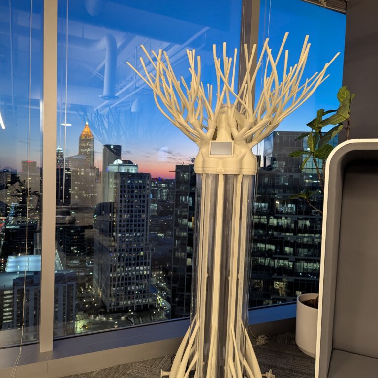 Modern Albero Skyline