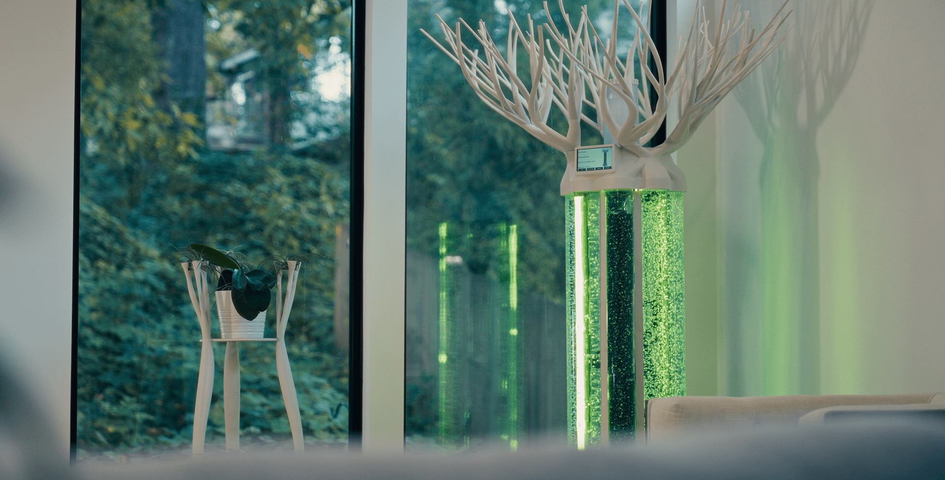 Albero specifications