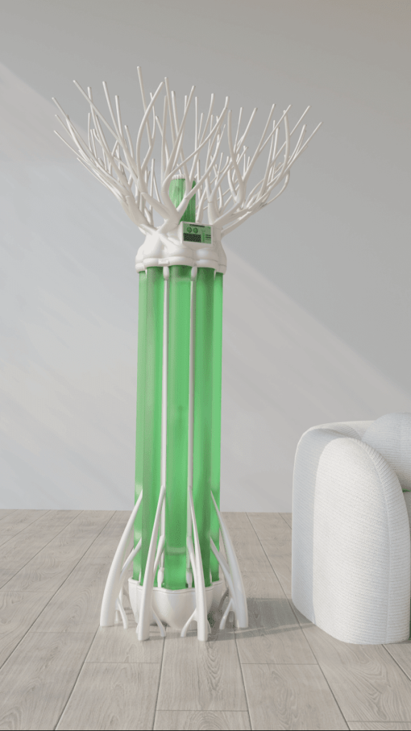 Albero Modern