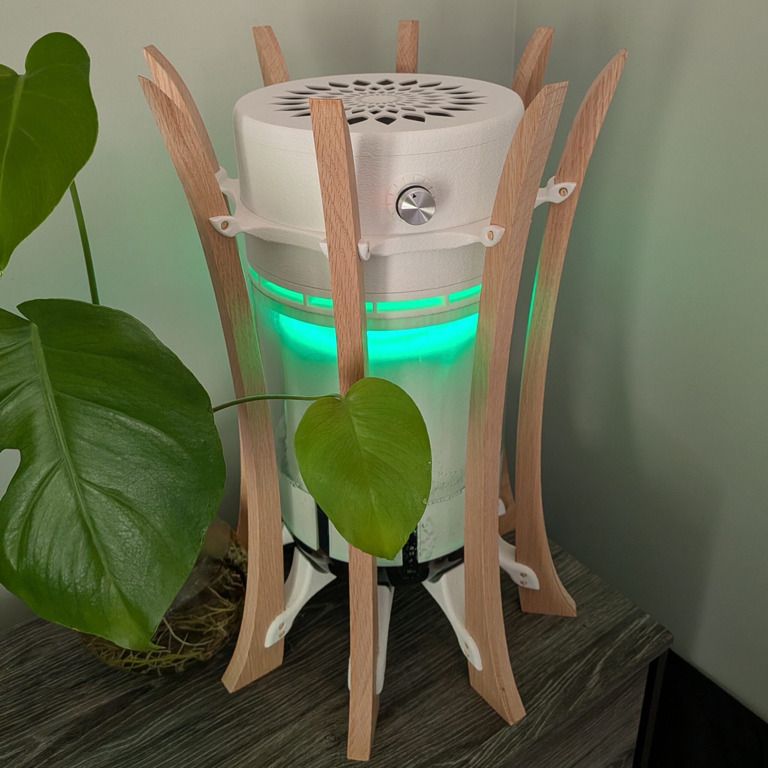 BedroomwPlant